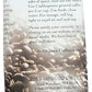 JIMS ORGANIC COFFEE Organic Ground Hazelnut Decaf Coffee, 12 OZ