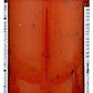Carbone - Sauce Mushroom Marinara - Case Of 6-24 Oz