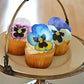 Sugar Robot Inc. Edible Pansies for Cake Decorating - Set of 12 - Small - 2.5 inches x 2.5 inches - Blue