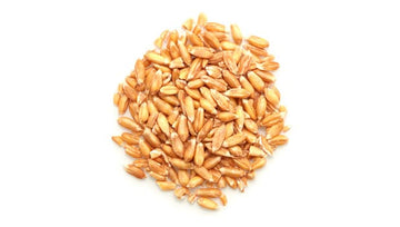 Yupik Organic Spelt Kernels, 2.2 Lb, Non-Gmo, Kosher, Vegan, Raw Hulled Grains, Unsalted, Source Of Fiber, Ideal For Baking & Co