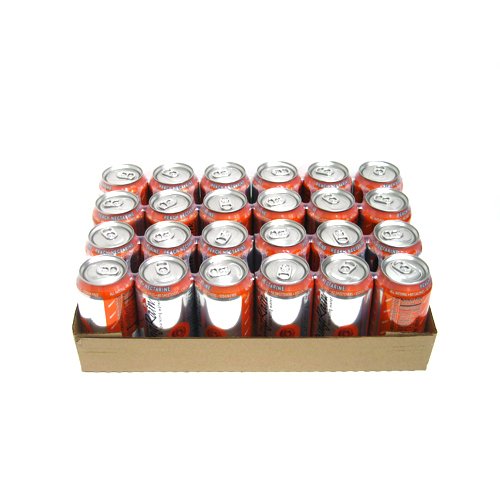 TalkingRain Sparkling Essence Talkingrain Sparkling Essence Peach Nectarine, 12-Ounce Cans (Pack of 24)