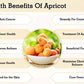 Amphora Soft Dried All Natural Organic Turkish Apricot Healthy Snack Fruits Vegan Kosher Gluten Free 6 Oz Each (Pack of 6)