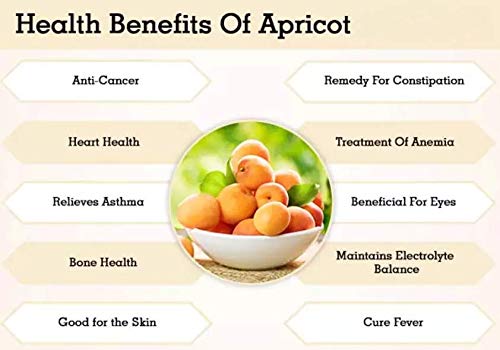 Amphora Soft Dried All Natural Organic Turkish Apricot Healthy Snack Fruits Vegan Kosher Gluten Free 6 Oz Each (Pack of 6)