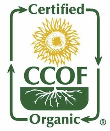 Mccabe Organic Black Garbanzo Bean - Black Chickpeas | Rich With Fiber & Minerals | Usda And Ccof Certified | Packed In Usa | 2L