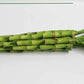 Athenas Garden Lucky Bamboo Stalks with Green Shoot 12, B-SS12