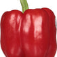 Red Bell Pepper, 1 Each