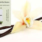 OLIVENATION Concentrated Vanilla Flavor TTB - Non-GMO, Kosher, Vegan - 8 Fl Oz - Model VE8