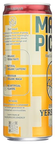 Machu Picchu Wild Berry Zero Sugar Yerba Mate 12 fl oz