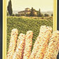 Alessi Sesame Breadsticks - 4.4 oz