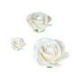 O'Creme Garden Roses Gumpaste Flower Set - White Edible Flowers For Cake Decorating - Sugar Paste Flowers For Cakes, Candy, Cupc