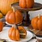 Luster Dust - Pumpkin Orange (4G 1X Jar) | Edible Vegan Dust & Paint For Cake Decorating, Ice Cream, Desserts, Cocktails And Bev
