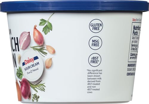 Daisy Brand French Onion Dip 16 Oz
