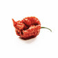 Unpretentious Whole Dried Carolina Reaper Chiles, 25 Count, Extremely Spicy Chiles, Hot Sauce