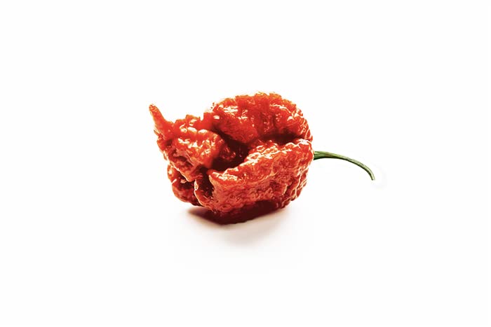 Unpretentious Whole Dried Carolina Reaper Chiles, 25 Count, Extremely Spicy Chiles, Hot Sauce