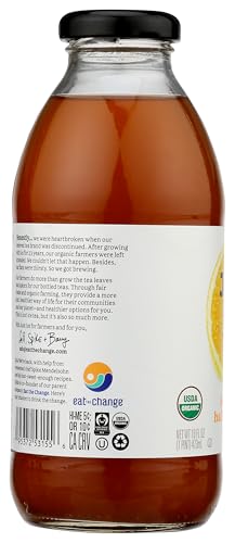 Just Ice Tea Organic Half Tea & Half Lemonade  16 FZ