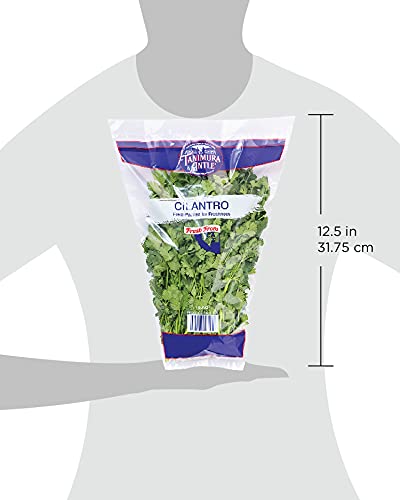Tanimura & Antle, Cilantro, 1 Each