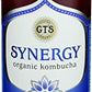 Synergy The Real Kombucha, Gingerberry - 48oz