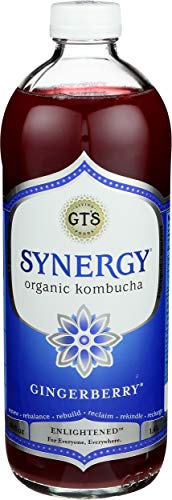 Synergy The Real Kombucha, Gingerberry - 48oz