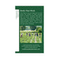Traditional Medicinals Organic Spearmint Herbal Tea, Healthy & Refreshing, (Pack of 2) - 32 Tea Bags Total