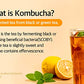 ?30 Sticks l Rawel Kombucha Tea Powdered Drink Mix Probiotics & Prebiotics - Sugar Free and Fat Free (Lemon)