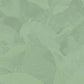 Davidsons Organics, Hibiscus Flowers, 100-count Unwrapped Tea Bags(Pack of 1)
