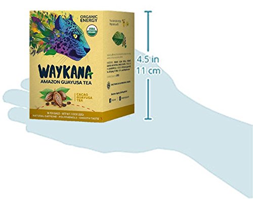 Organic Guayusa Cacao Tea Bags By Waykana, 96 Counts | Alternative To Yerba Mate, Coffee And Green Tea: Smooth Flavor No Bitter | Boost Performance, Energy & Mental Clarity