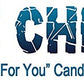 ICE CHIPS Xylitol Candy, Low Carb & Gluten Free, Chocolate Brownie, 5.28 oz Resealable Pouch