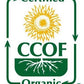 Mccabe Organic Brown Sweet Rice - Rich In Fibers And Minerals | Usda And Ccof Certified | Sticky Brown Rice | Product Of Usa | 1