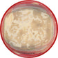 Resers Macaroni Salad, 16 Oz