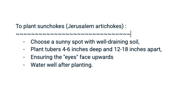 Kejora Fresh Jerusalem Artichokes (Sunchokes Or Sunroot) For Planting Or Eating - 4 Pounds Ship Fedex 2Nd Day Air