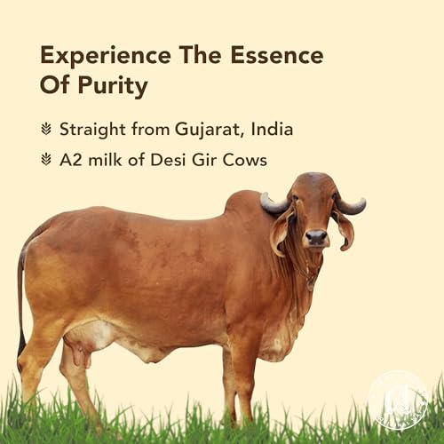 Anveshan A2 Gir Cow Desi Ghee 500Ml | Traditional Bilona Method | Curd- Churned | Cultured | Pure And Natural | Lactose And Glut