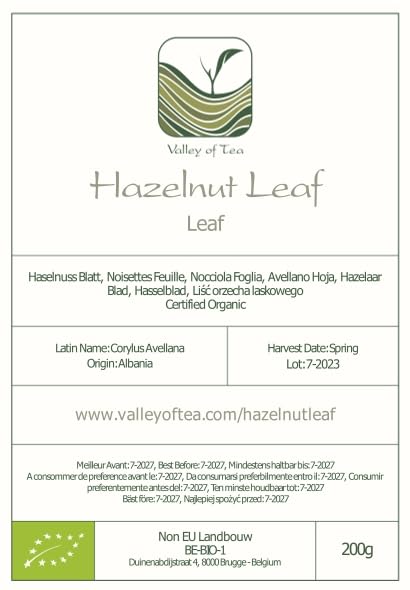Hazelnut Leaf Tea - Corylus Avellana - Hazelnut Tea Hazel Nuts