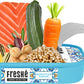 Freshé Canned Salmon Moroccan Tagine (10 Pack) - Mediterranean Style Atlantic Salmon In Olive Oil - Sustainably Farmed Tinned Fish (4.25Oz Cans)