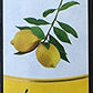 Central Market Lemon Infused Extra Virgin Olive Oil, 8.5 oz 2-pack (17 total ounces)