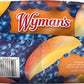 Wymans Mango Berry, 3 lb (Pack of 1) - Mango, Strawberries & Wild Blueberries