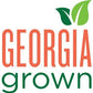 4 Pack Of 18Oz Georgia Fried Peanuts