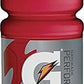 Gatorade 28667 G-Series Perform 02 Thirst Quencher Fruit Punch, 20 oz Bottle, 24/Carton