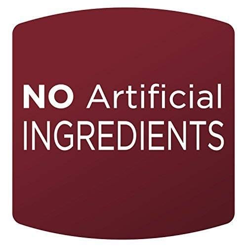 Orchard Valley Harvest Glazed Pecans Salad Toppers 0.85 Ounce Bags (Pack Of 15) With Cranberries And Pepitas Non-Gmo No Artifici