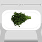 Organic Italian Parsley (Flat Leaf), One Bunch