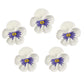OCREME Royal Icing Sugar Flower Set of 16, 1-1/4 Inch, White, Model OCRIF-11 for Cake Decorating