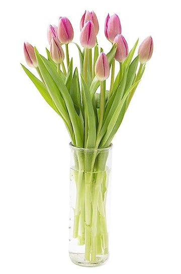KaBloom Flowers - Mother's Day Collection - 10 Pink Tulips with vase, Gift for Birthday, Sympathy, Anniversary, Get Well, Thank 