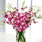 Premium Cut Purple Orchids (20 Stems With Vase) (Support Small Business)