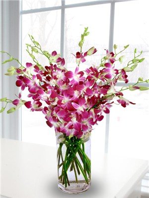 Premium Cut Purple Orchids (20 Stems With Vase) (Support Small Business)