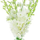 KaBloom Flowers - Mother's Day Collection - 10 White Orchid with vase, Gift for Birthday, Sympathy, Anniversary, Get Well, Thank