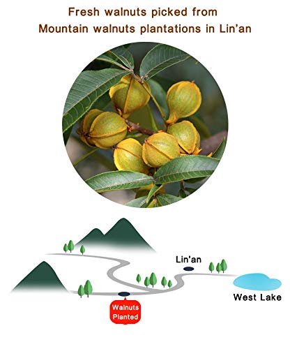 Chinese Walnuts(With Shells),Fresh New Linan Mountain Walnuts,Easy-to-Peel Linan Mountain Walnuts,Creamy/Salty,Net 8.8 oz./250g,