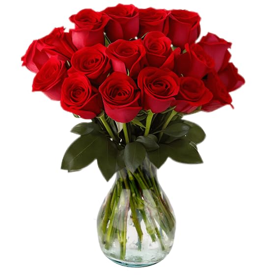 18 Red Roses with Vase | Arabella Bouquets | Real Fresh Flowers for Delivery  Gift for Birthday Women  Congratulations  Anniversary  Thank You  Mothers Day