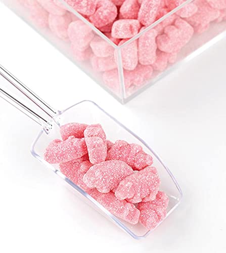 Fruidles Sour Gummy Piglets, Pink Gummies, Great For Theme Parties (1 Pound Total Of 16 Oz)