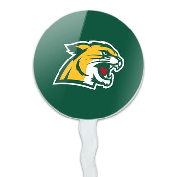 Northern Michigan Primary Logo Cupcake Picks Toppers Decoration Set Of 6
