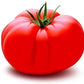 Organic Beefsteak Tomato, 1 Each