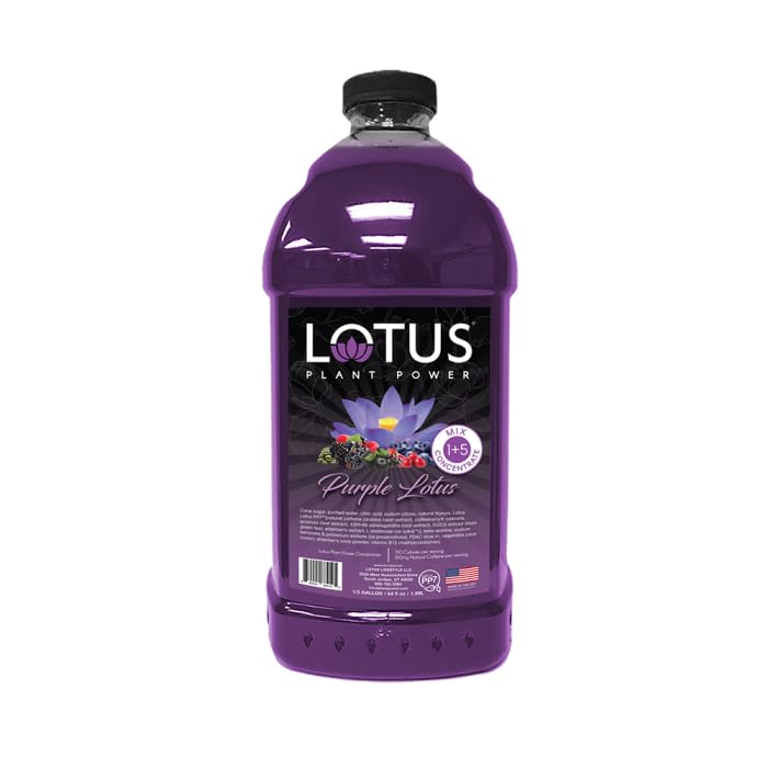 LOTUS PLANT POWER DRINK Purple Lotus Plant Energy Drink Concentrate, Natural Caffeine, 64 fl oz, Pure Cane Sugar